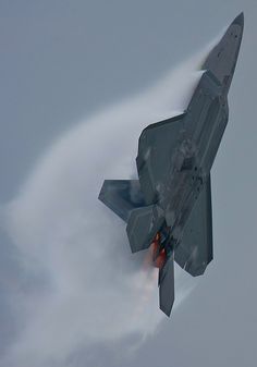 _F-22 high AOA 2.jpg