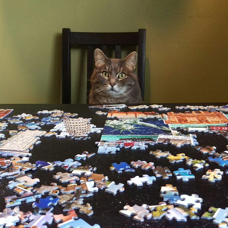 PuzzleCat.jpg